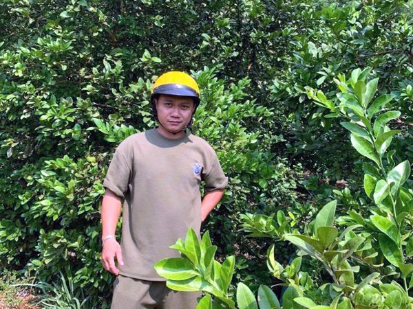 Từ nhân rộng giống cây 'lạ' làm giàu đến nông nghiệp xanh bền vững