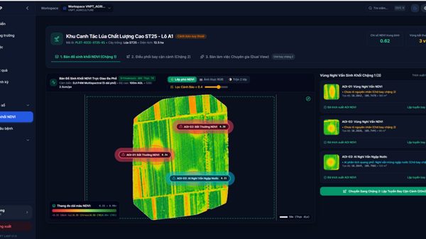 Từ những chuyến bay UAV đến dữ liệu phục vụ quản lý vùng trồng