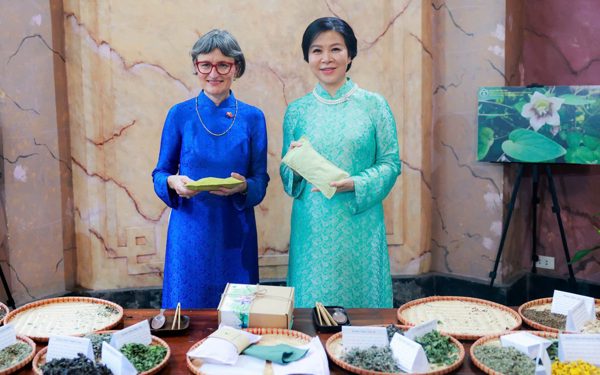 Từ núi Ngọc Linh đến dãy Alps: Khi Việt Nam, Thụy Sĩ gần nhau hơn nhờ 'nhịp cầu' thảo dược