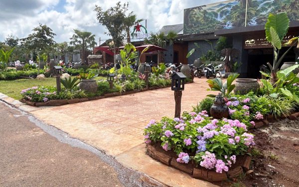 Tự ý trồng cây xanh trên vỉa hè, chủ quán cà phê bị phạt 12,5 triệu đồng