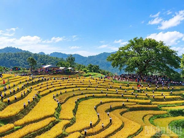 Tưng bừng Ngày hội văn hóa, thể thao các dân tộc Cao Phong