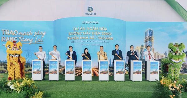 Tuyến cáp ngầm hơn 1.000 tỉ đồng về đích sớm