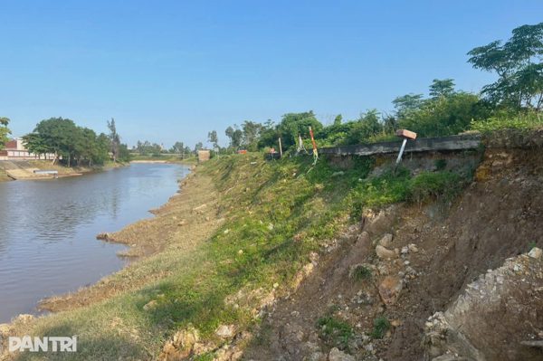 Tuyến đê bảo vệ hàng trăm hộ dân ở Nghệ An bị sạt lở