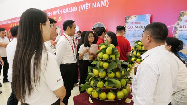 Tuyên Quang kết nối tiêu thụ sản phẩm vào hệ thống siêu thị Go!