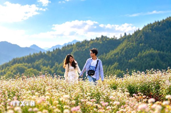 Tuyên Quang khai thác dư địa dịch vụ, tạo động lực tăng trưởng quý cuối năm