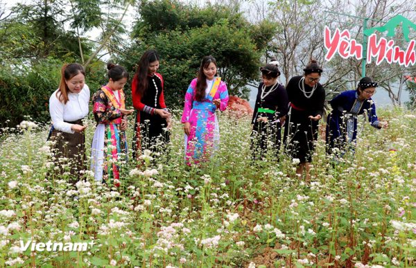Tuyên Quang làm mới sản phẩm du lịch, gia tăng sức hút Cao nguyên đá Đồng Văn