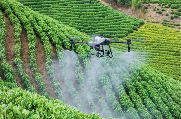 UAV lấp đầy 'khoảng trống' logistics, tối ưu chi phí sản xuất