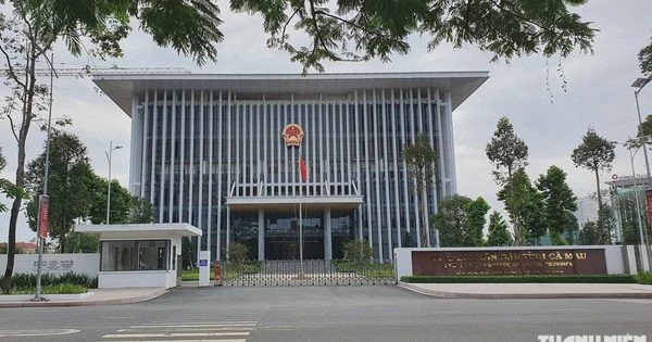 UBND tỉnh Cà Mau chỉ đạo kiểm tra việc đưa nước mặn vào lâm phần nuôi tôm