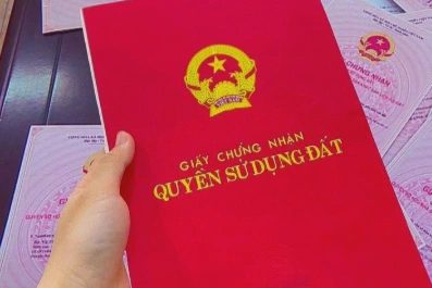 UBND tỉnh Cà Mau và nhiều giám đốc sở sẽ giải trình về thủ tục đất đai