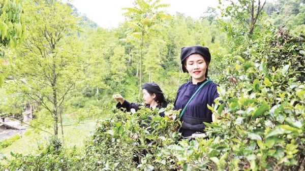 UNDP đánh giá cao tiến bộ giảm nghèo của Việt Nam