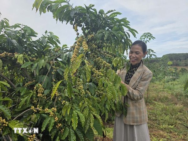 UNDP ghi nhận Việt Nam thuộc nhóm giảm nghèo đa chiều nhanh trên thế giới