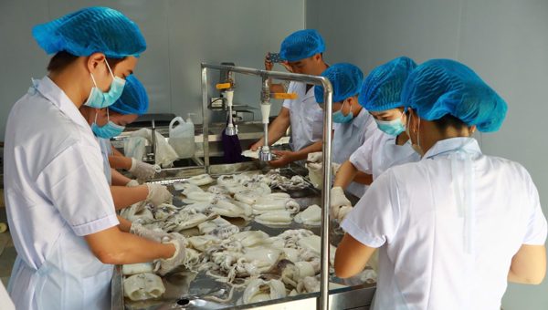 Ứng dụng công nghệ enzyme: Lời giải chuẩn hóa chất lượng chả mực Vân Đồn