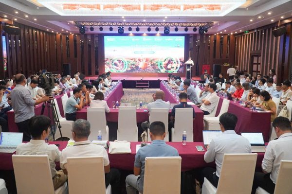 Ứng dụng công nghệ giúp nông dân trong khoai tây thu 73 triệu/hecta