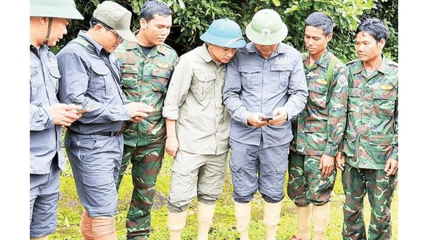 Ứng dụng công nghệ trong bảo vệ rừng