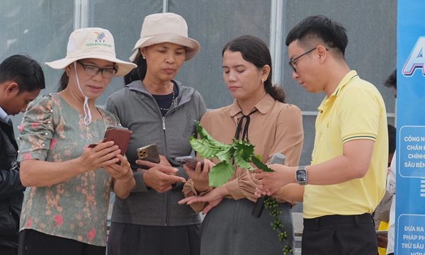 Ứng dụng hỗ trợ nông dân số hóa dữ liệu trồng cà phê