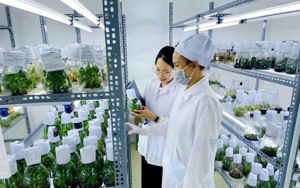 Ứng dụng khoa học-công nghệ, nâng cao giá trị nông sản