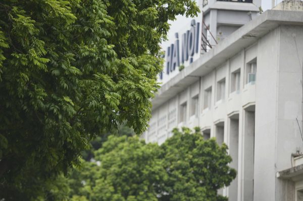 Ủng hộ mỗi tuyến phố Hà Nội trồng một loài cây, nhưng chỉ nên ở phố mới