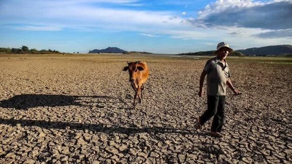 Ứng phó tác động của El Nino