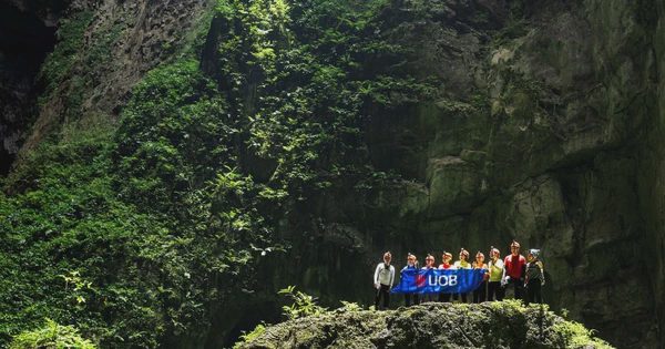 UOB Việt Nam hợp tác Oxalis: Tài chính thông minh mở lối đến trải nghiệm hiếm có