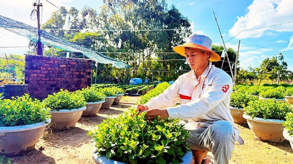 Ươm mầm khởi nghiệp tại quê hương