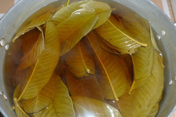 Uống lá ổi, mướp đắng sau mỗi lần nhậu, người đàn ông nhận kết quả bất ngờ