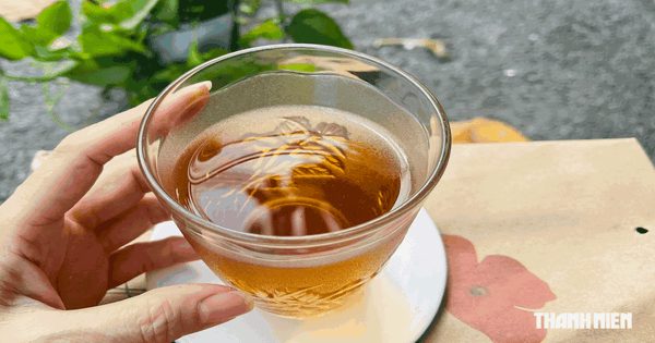 Uống trà nụ vối đúng cách mang lại nhiều lợi ích cho sức khỏe