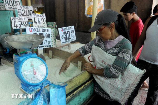 USDA: Philippines tiếp tục là nước nhập khẩu gạo lớn nhất thế giới