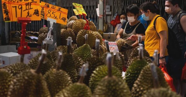 Vì sao giá sầu riêng tại Trung Quốc giảm mạnh?