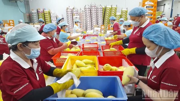 Vai trò cấp ủy kiến tạo động lực mới cho kinh tế tư nhân