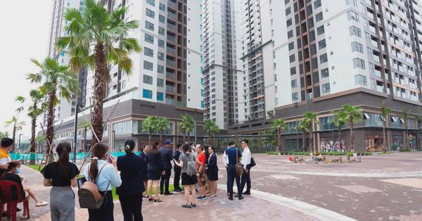 VARS: Thị trường bất động sản không đóng băng, khách liên hệ tư vấn, xem nhà vẫn ở mức cao