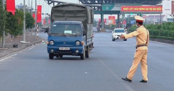 Vi phạm lỗi nào bị tịch thu ô tô?