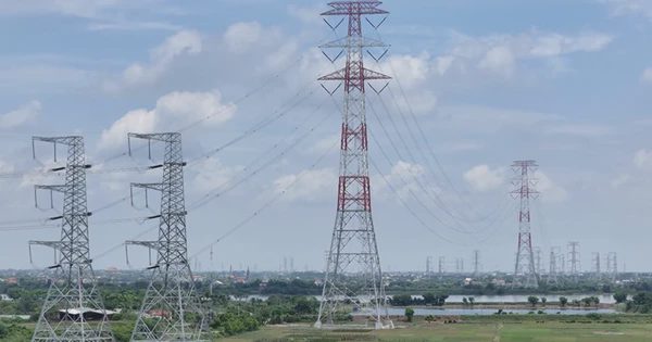 Vì sao Bộ Tài chính đề xuất 'chưa vội' tách EVNNPT khỏi EVN?