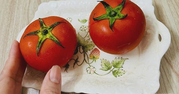 Vì sao chỉ nên ăn cà chua chín, không ăn cà chua xanh?