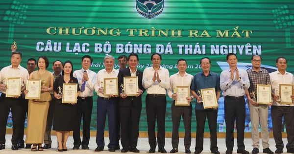 Vì sao CLB Thái Nguyên thu hút được 115 tỉ đồng tài trợ?