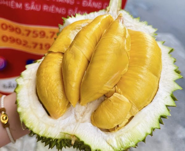 Vì sao sầu riêng tiền triệu luôn hút khách?