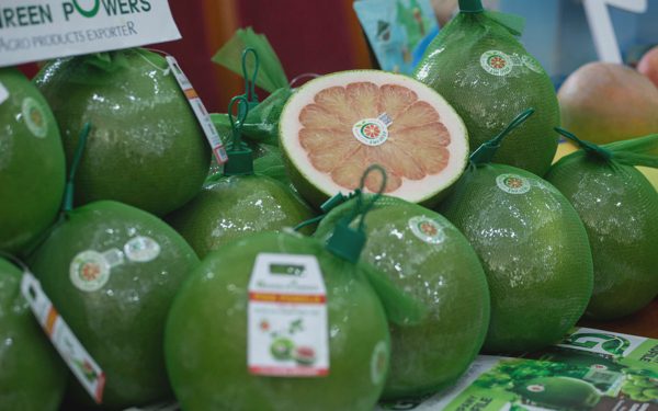 Vì sao Úc tạm dừng nhập khẩu trái bưởi Việt Nam?