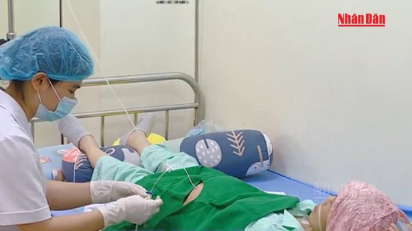 [Video] Bộ Y tế đề xuất BHYT chi trả khám sàng lọc 7 loại ung thư