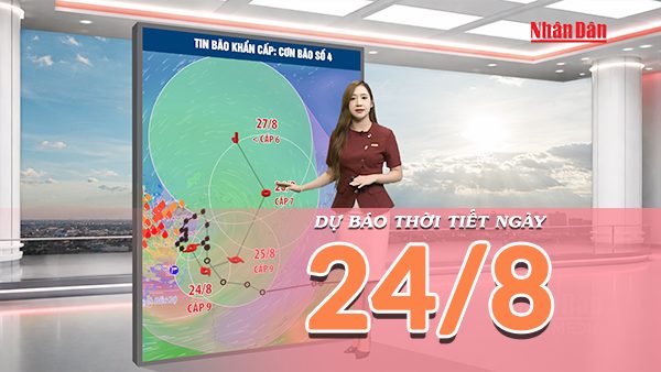 [Video] Dự báo thời tiết 24/8/2026: Bão số 4 gây mưa lớn ở Đông Bắc Bộ, đề phòng lũ quét, sạt lở đất và gió giật mạnh