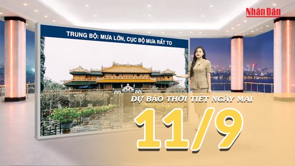 [Video] Dự báo thời tiết đêm nay và ngày mai 11/9/2026: Không khí lạnh tăng cường, mưa lớn diện rộng trên cả nước