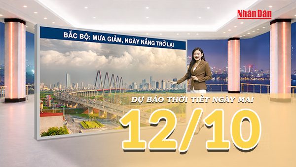 [Video] Dự báo thời tiết đêm nay và ngày mai 12/10/2026: Mưa thu hẹp dần tại Trung Bộ, Nam Bộ có mưa rào về chiều tối