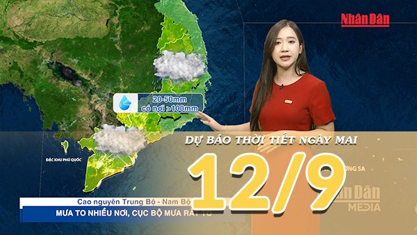 [Video] Dự báo thời tiết đêm nay và ngày mai 12/9/2026: Bắc Bộ se lạnh về đêm, Trung Bộ và Nam Bộ tiếp tục mưa lớn