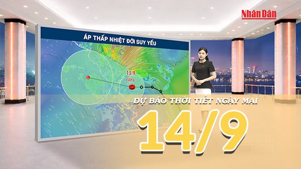 [Video] Dự báo thời tiết đêm nay và ngày mai 14/9/2026: Áp thấp nhiệt đới suy yếu, Trung Bộ tiếp tục mưa lớn