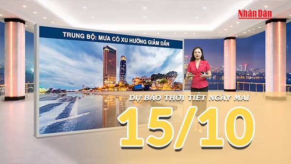 [Video] Dự báo thời tiết đêm nay và ngày mai 15/10/2026: Bắc Bộ nắng ráo, miền Trung mưa giảm dần