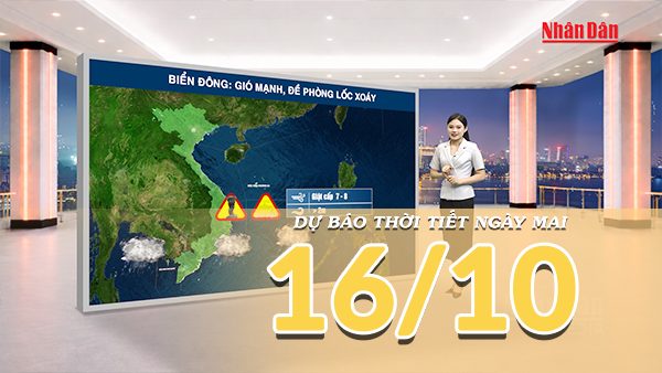 [Video] Dự báo thời tiết đêm nay và ngày mai 16/10/2026: Không khí lạnh tiếp tục suy yếu tại Bắc Bộ và Trung Bộ, Nam Bộ đề phòng mưa dông