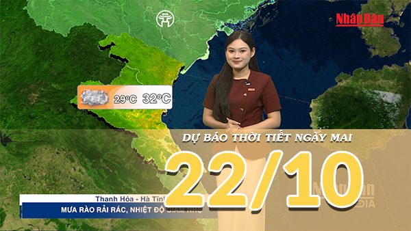[Video] Dự báo thời tiết đêm nay và ngày mai 22/10/2026: Không khí lạnh tăng cường, Bắc Bộ và Trung Bộ có mưa