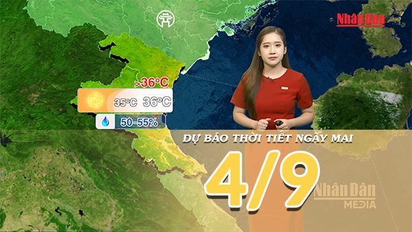 [Video] Dự báo thời tiết đêm nay và ngày mai 4/9/2026: Bão số 5 suy yếu, không còn khả năng ảnh hưởng trực tiếp đến Việt Nam
