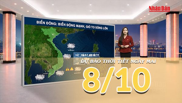 [Video] Dự báo thời tiết đêm nay và ngày mai 8/10/2026: Bắc Bộ đêm lạnh, vùng núi trời rét, Trung Bộ có nơi mưa đặc biệt lớn