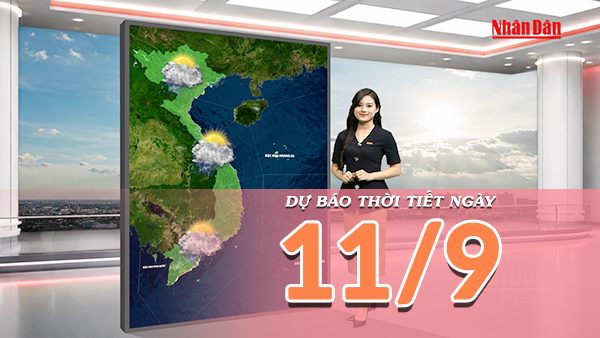 [Video] Dự báo thời tiết ngày 11/9/2026: Bắc Bộ mưa giảm, Trung Bộ và Nam Bộ tiếp tục có mưa lớn