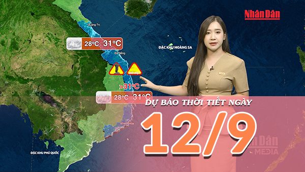 [Video] Dự báo thời tiết ngày 12/9/2026: Mưa lớn tiếp tục bao trùm Trung Bộ và Nam Bộ
