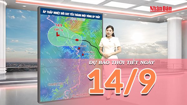 [Video] Dự báo thời tiết ngày 14/9/2026: Áp thấp nhiệt đới suy yếu, Trung Bộ tiếp tục mưa lớn